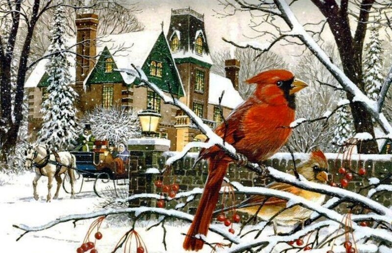 Cardinal Bird on Branch — Red