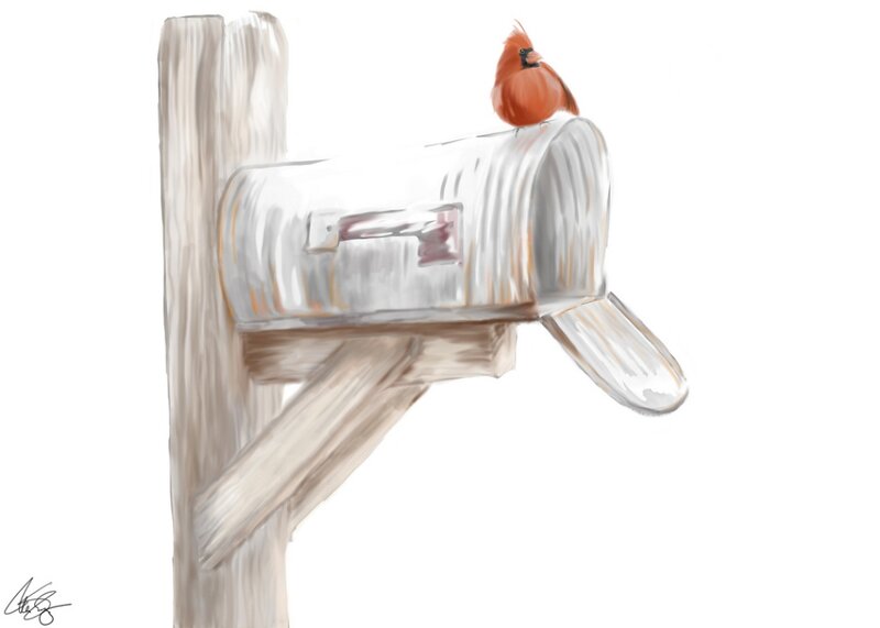 Cardinal Bird on Mailbox