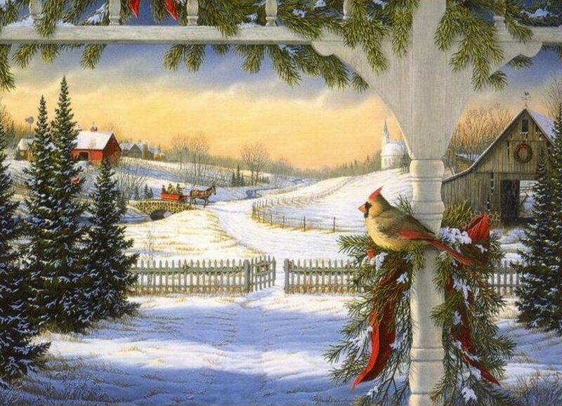 Cardinal Bird on Porch