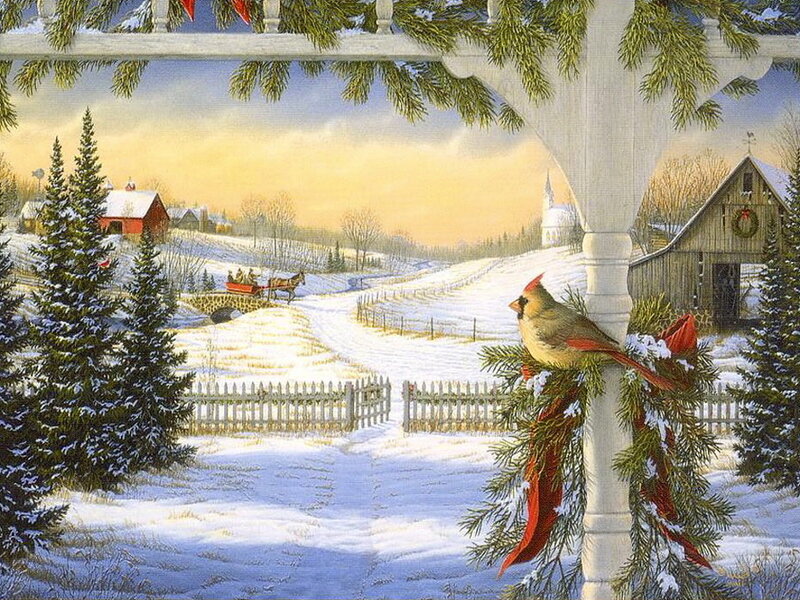 Cardinal Bird on Porch — White