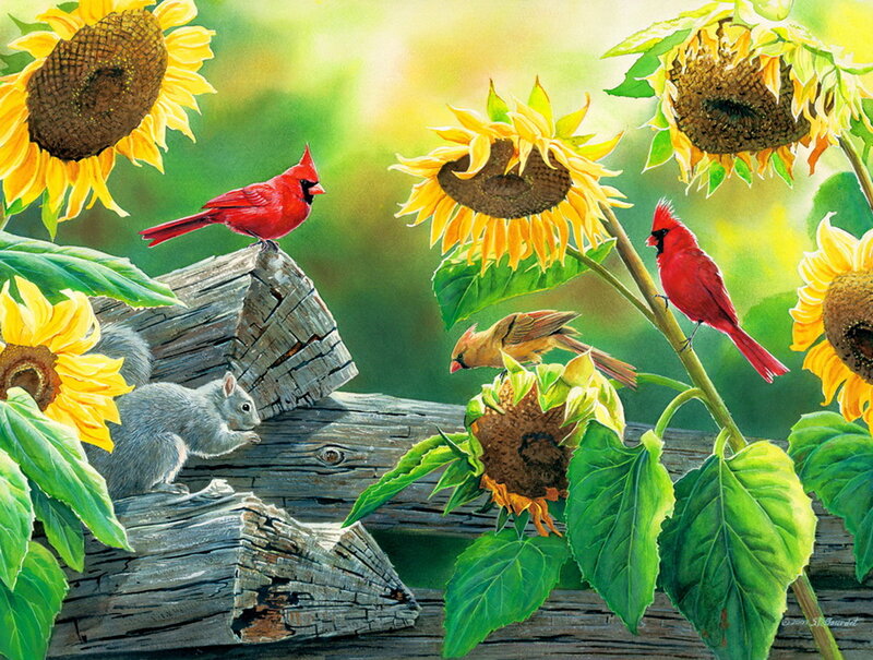 Cardinal Birds and Squirrel — Yellow
