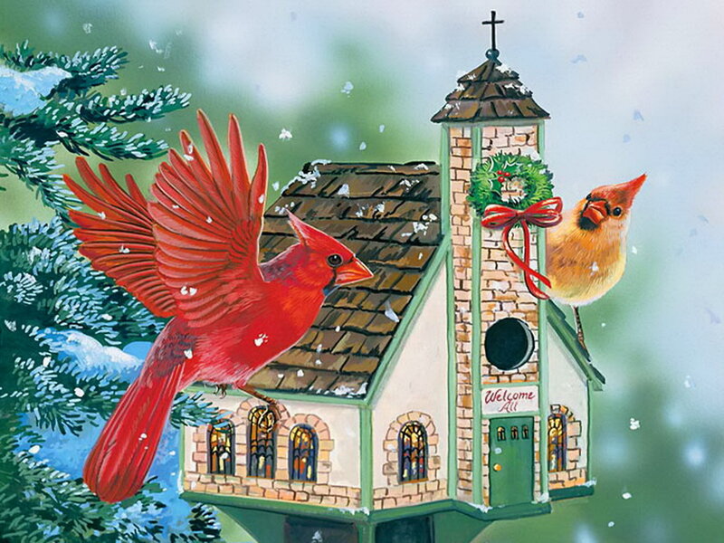 Cardinal Birds at Birdhouse — Red