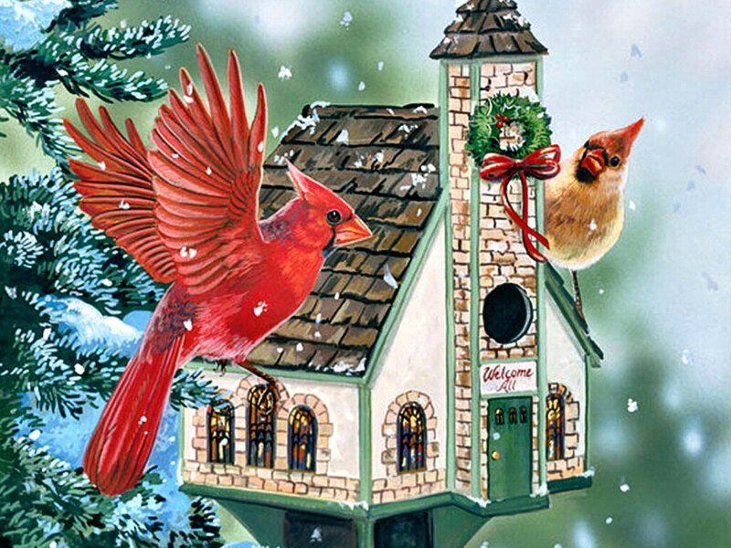 Cardinal Birds at Birdhouse