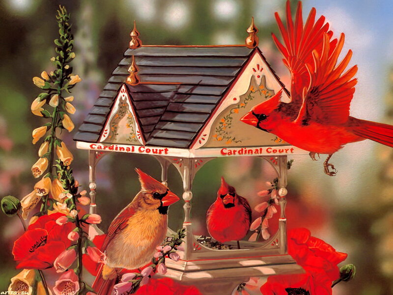 Cardinal Birds at Feeder — Red, Serene, Spring, Illustration