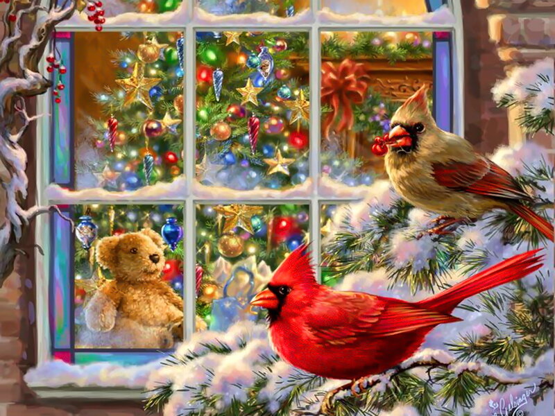 Cardinal Birds by Window