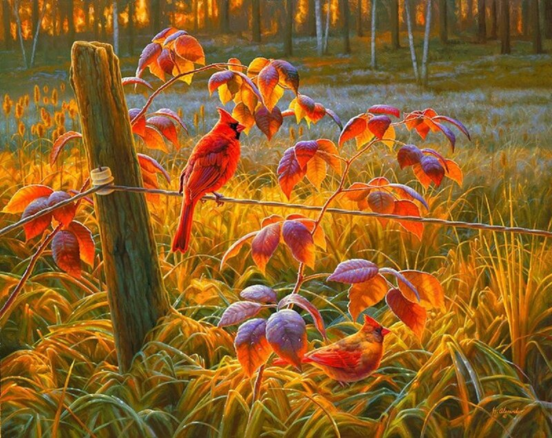 Cardinal Birds in Autumn