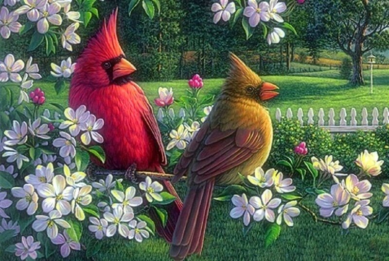 Cardinal Birds in Flowers