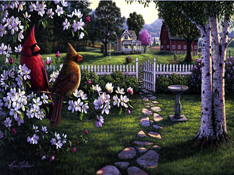 Cardinal Birds in Garden — Green, Serene
