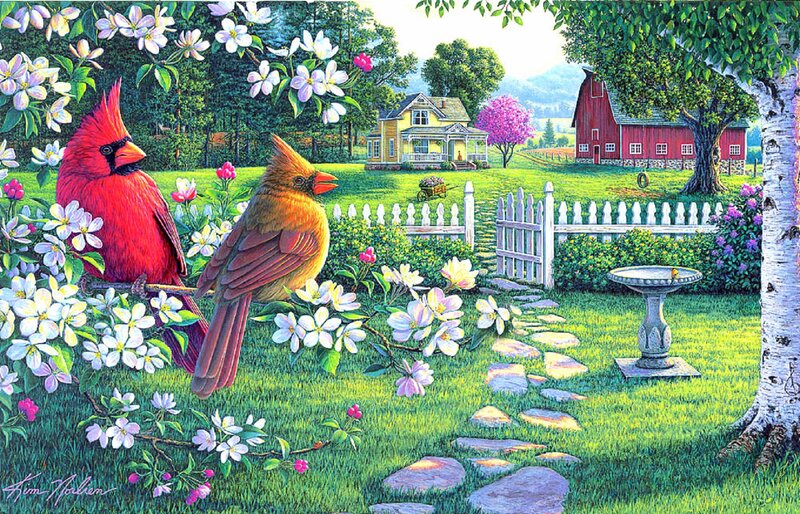 Cardinal Birds in Garden — Green