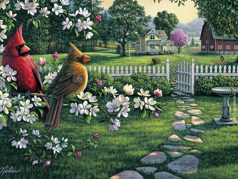 Cardinal Birds in Garden