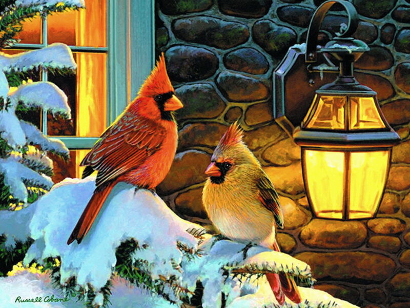 Cardinal Birds in Snow — Red, Cozy