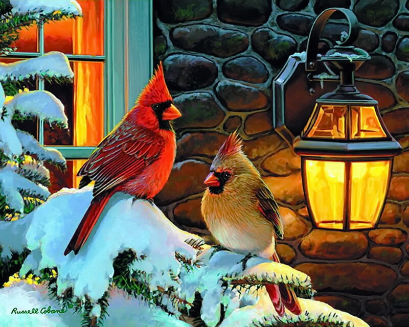 Cardinal Birds in Snow — Red, Cozy, Winter