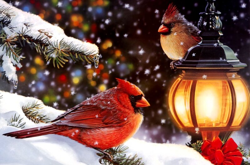 Cardinal Birds in Snow — Red, Festive, Night, Digital Art