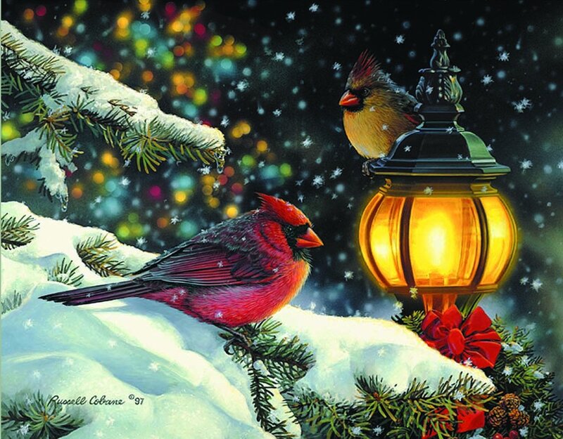 Cardinal Birds in Snow — Red, Festive