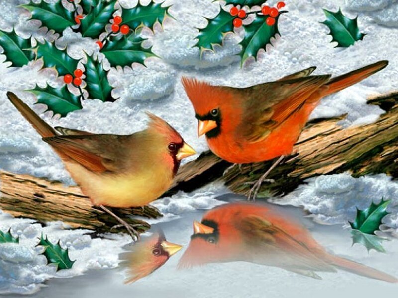 Cardinal Birds in Snow — Red, Peaceful, Winter, Illustration, Holly Berries