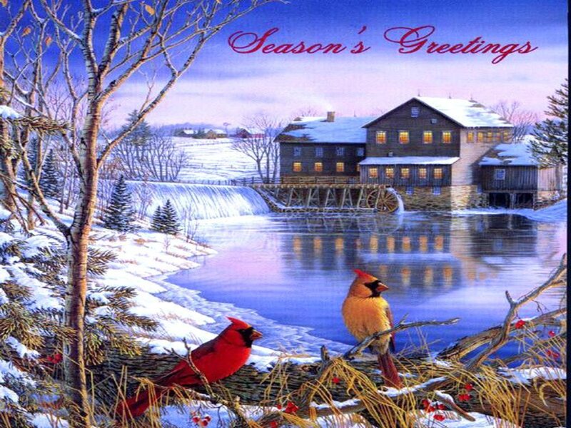 Cardinal Birds in Snow — Red, Peaceful, Winter, Illustration