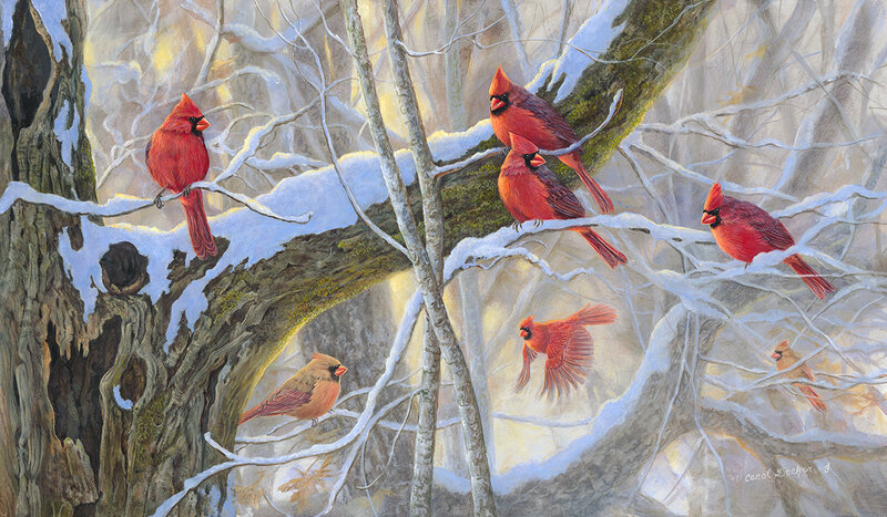 Cardinal Birds in Snow — Red, Serene