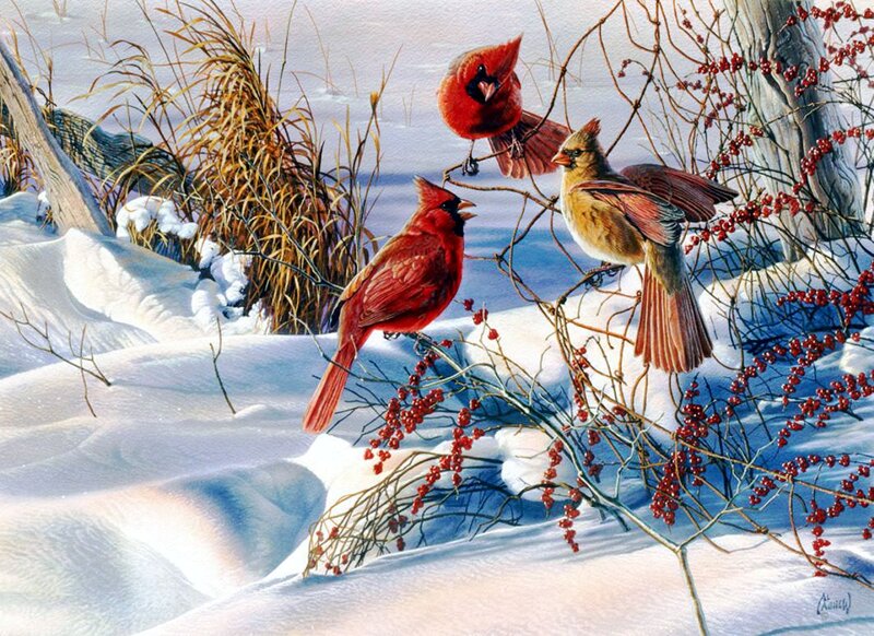 Cardinal Birds in Snow — Red, Serene, Winter, Painting, Berries, Branches, Grass