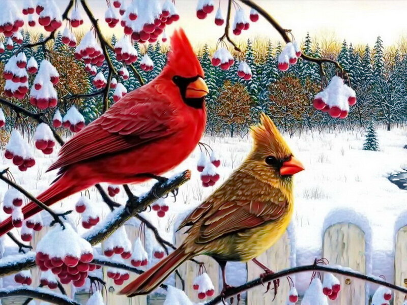 Cardinal Birds in Snow — Red, Serene, Winter, Painting, Berries, Trees