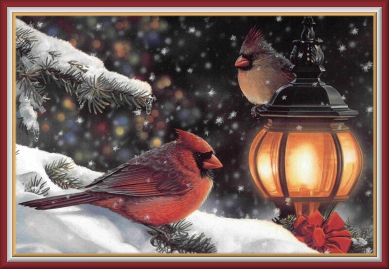 Cardinal Birds in Snow — Red