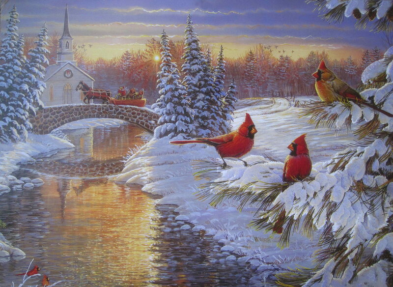 Cardinal Birds in Snow