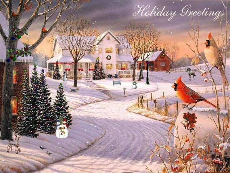 Cardinal Birds in Snow — White, Festive