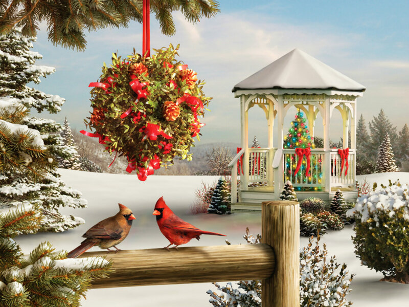 Cardinal Birds in Snow — White, Festive, Winter