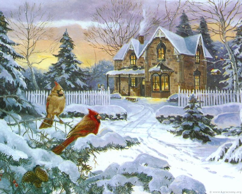 Cardinal Birds in Snow — White, Peaceful