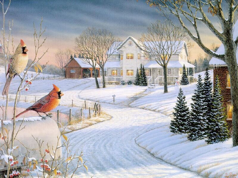 Cardinal Birds in Snow — White, Serene