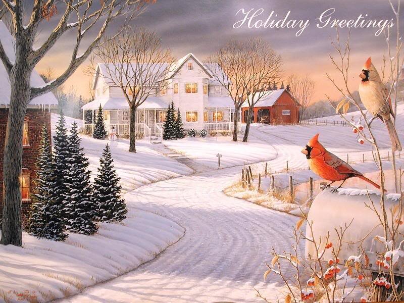 Cardinal Birds in Snow — White, Serene, Winter