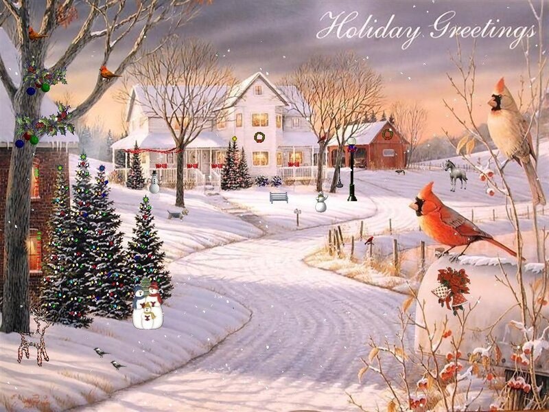 Cardinal Birds in Snow — White
