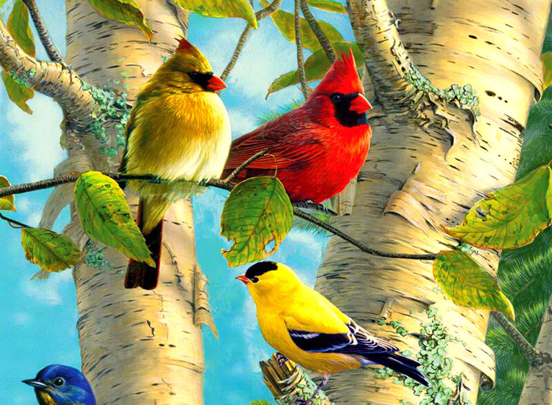 Cardinal Birds in Tree — Red, Serene