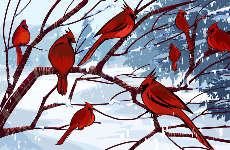 Cardinal Birds in Tree
