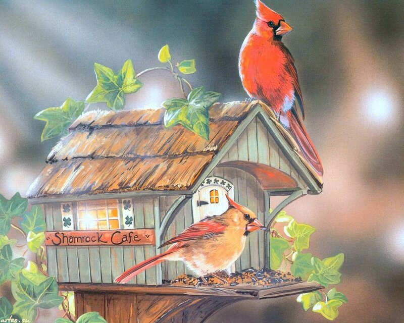 Cardinal Birds on Birdhouse — Red