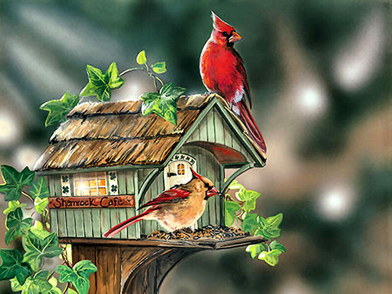 Cardinal Birds on Birdhouse