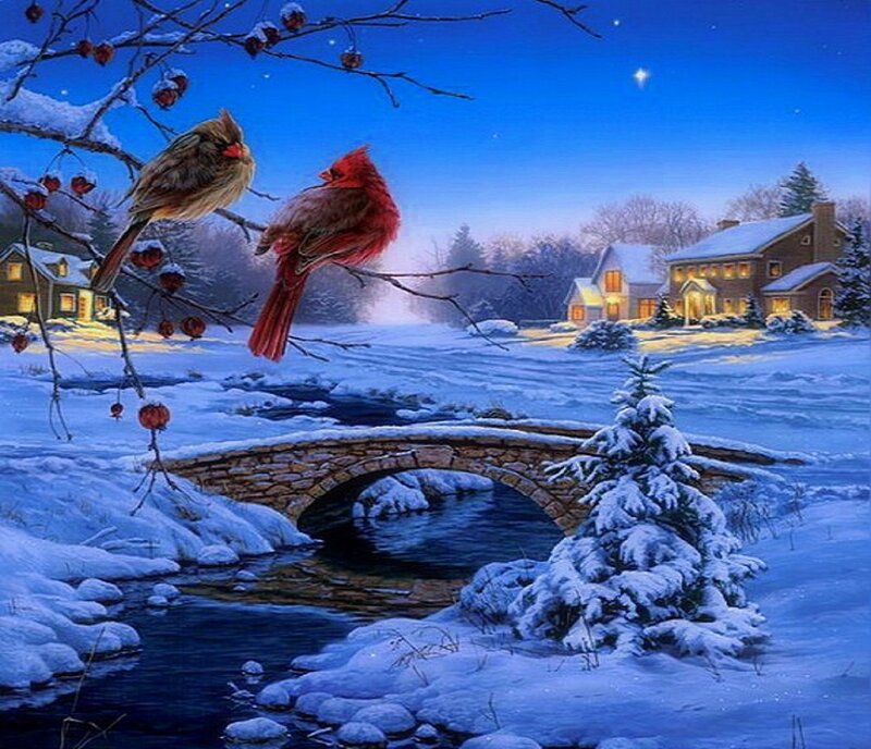 Cardinal Birds on Branch — Blue, Serene, Night
