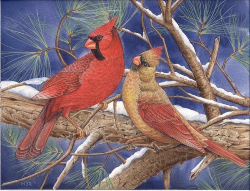 Cardinal Birds on Branch — Red, Calm