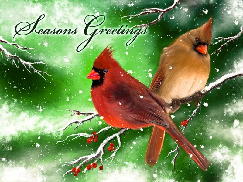 Cardinal Birds on Branch — Red, Festive