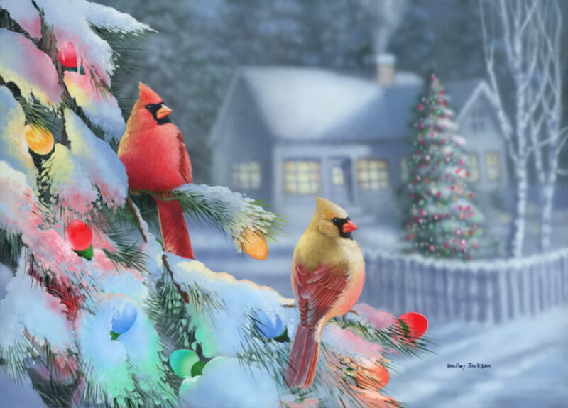 Cardinal Birds on Branch — Red, Peaceful