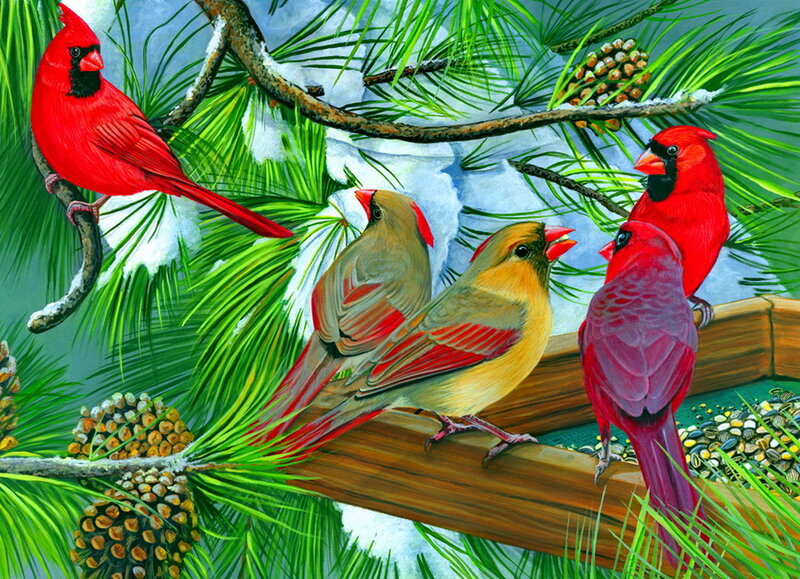 Cardinal Birds on Branch — Red, Peaceful, Winter