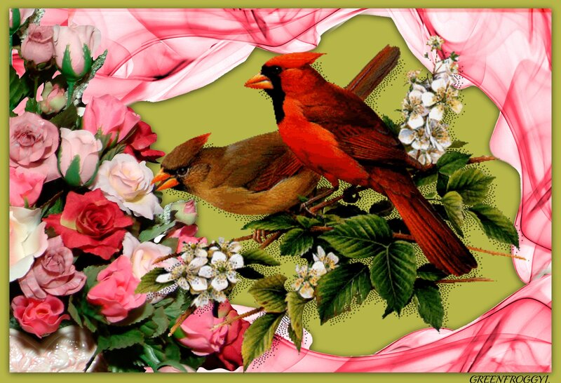 Cardinal Birds on Branch — Red, Romantic