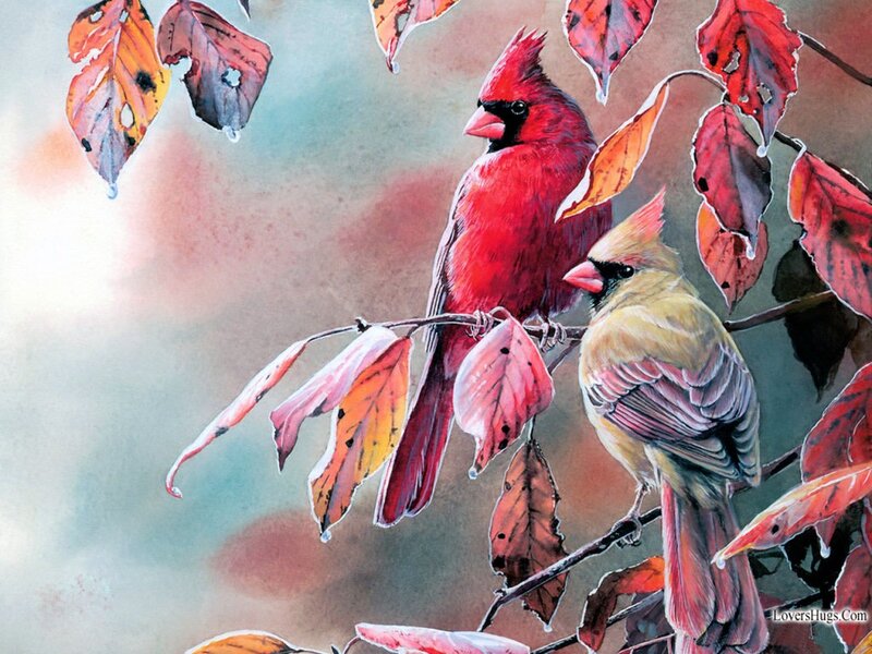 Cardinal Birds on Branch — Red, Serene, Autumn