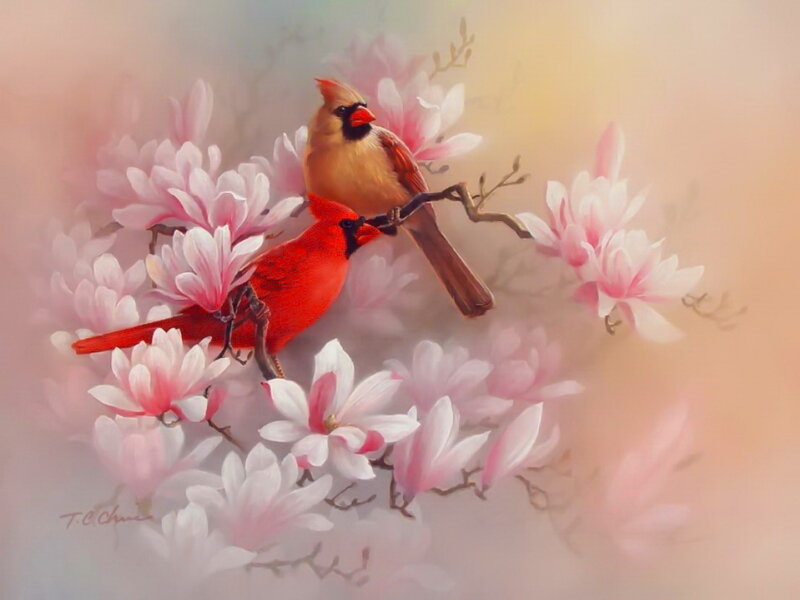 Cardinal Birds on Branch — Red, Serene, Spring, Painting, Flowers