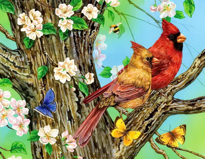 Cardinal Birds on Branch — Red, Serene, Spring