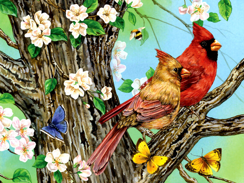 Cardinal Birds on Branch — Red, Serene