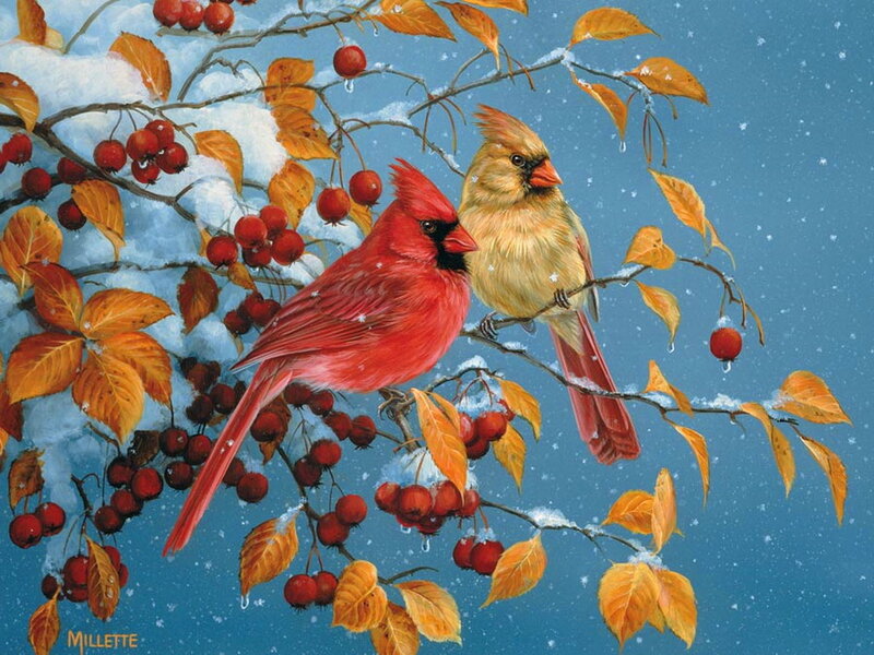 Cardinal Birds on Branch — Red, Serene, Winter, Painting, Berries