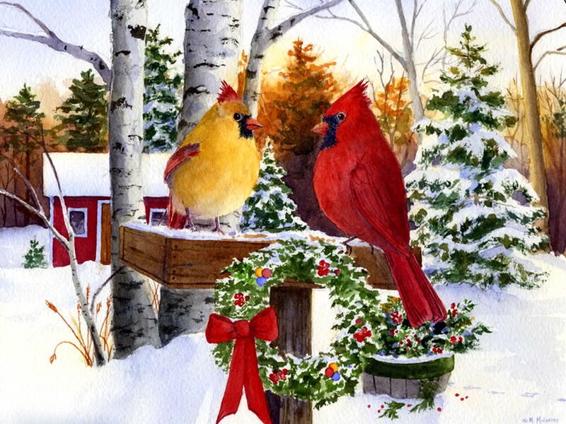 Cardinal Birds on Feeder — Red
