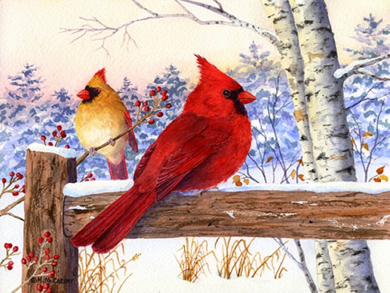 Cardinal Birds on Fence — Red, Serene