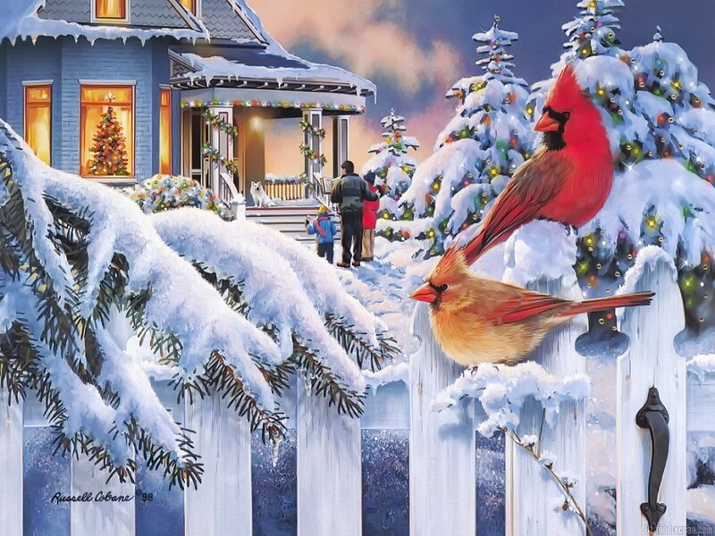 Cardinal Birds on Fence — White, Festive, Winter