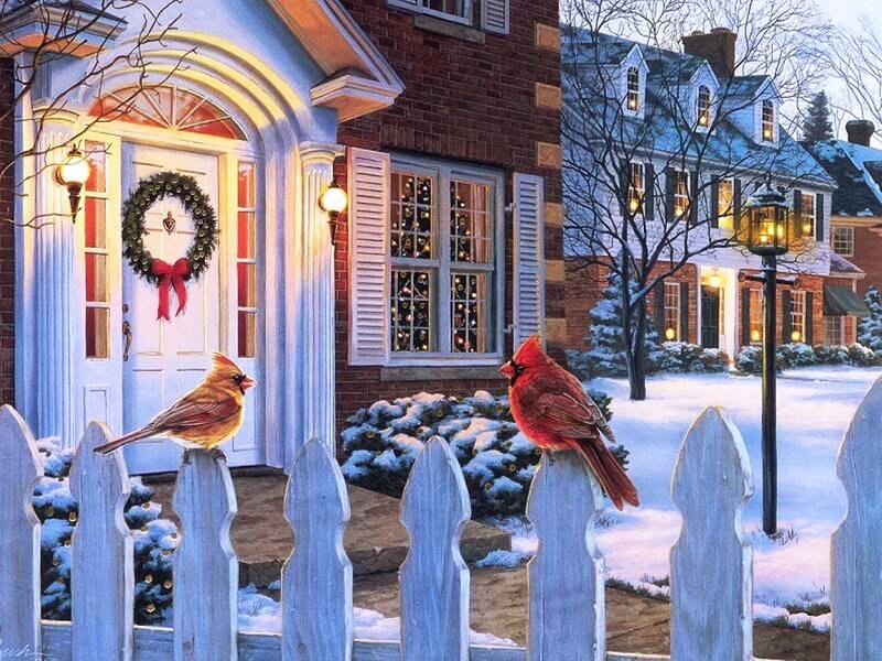 Cardinal Birds on Fence — White, Peaceful, Winter